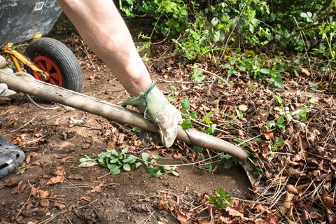 Garden Cleaning Perth