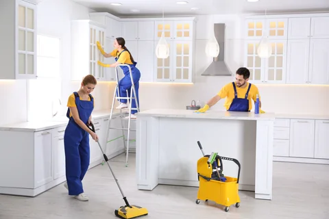 Move-In Cleaning In Perth